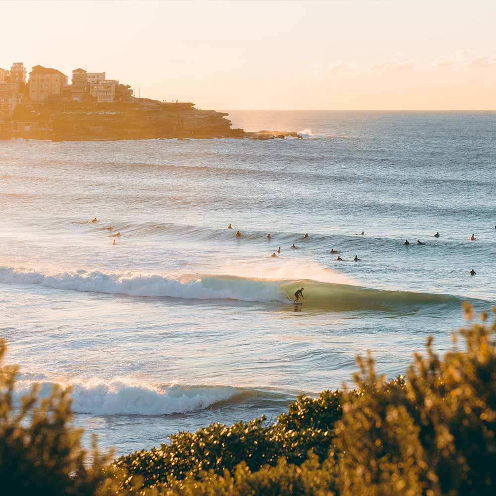 Bondi Beach